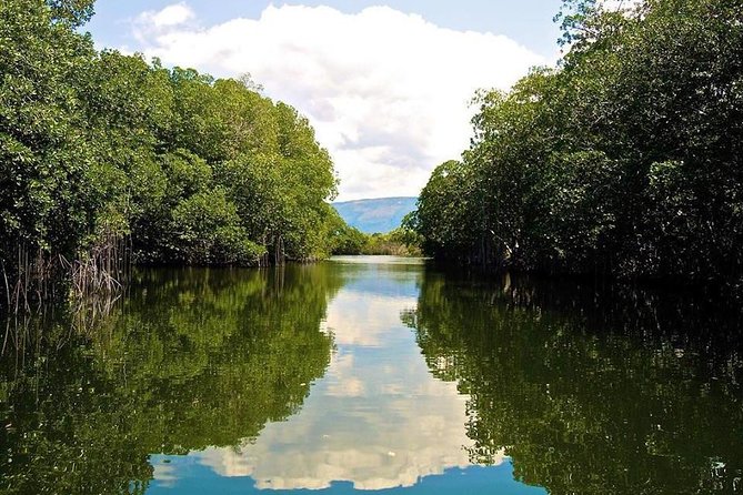 Black River Safari and YS Falls Tour From Negril - Riverboat Cruise