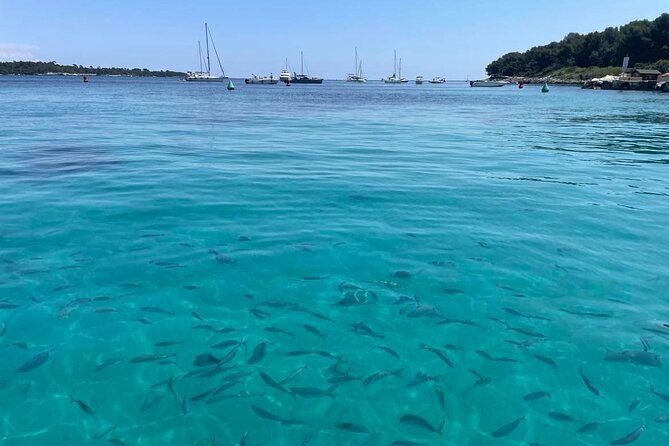 Boat Trip to the Lérins and Cannes Islands - Review and Recommendations