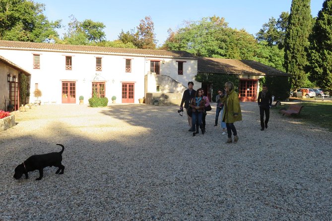 Bordeaux: Wine Tour and Tasting - Ask Away