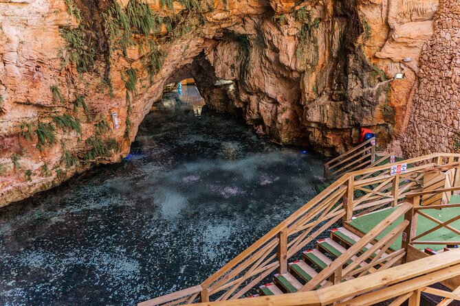 Buggy Half Day Adventure With Cave Swim From Punta Cana - About the Provider