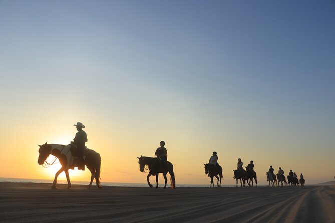 Cabo Horseback Riding on Pacific Beach and Desert - Key Considerations