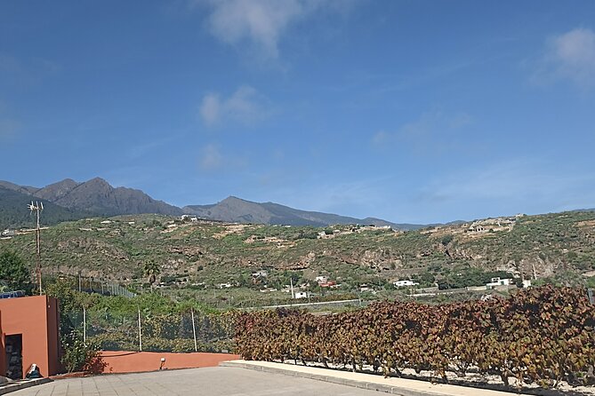 Canarian Wine and Tapas Tasting Private Tour - Accessibility and Participation