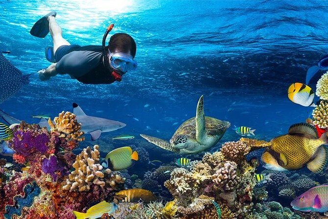 Catalina Island All Inclusive From Punta Cana (Full Day) - Frequently Asked Questions