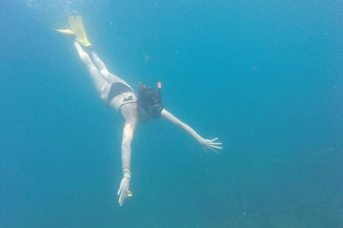 Catalina Island & Snorkeling Full-day Trip - Frequently Asked Questions