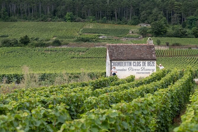Citroën 2CV Bourgogne Rental • Self-Guided Getaway - Additional Information and Booking Details