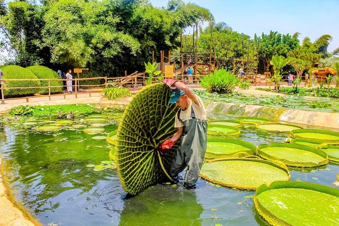 Crocopark Visit (Transport Included) - Frequently Asked Questions