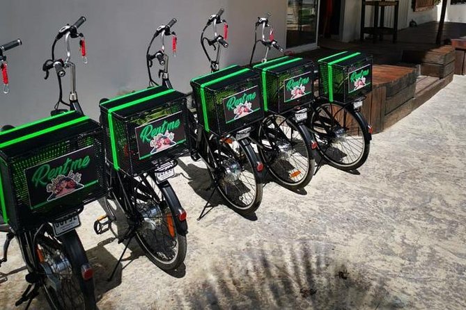 CRUISE GUEST Electric Bike - Potential Issues to Consider
