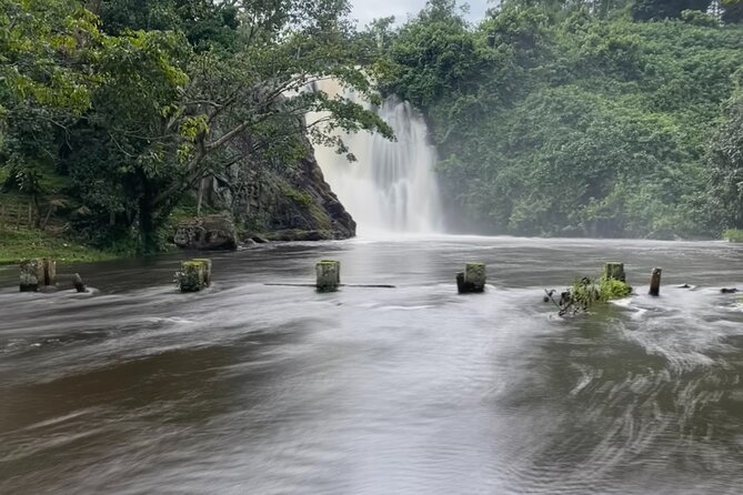 Day Tour of Jinja and Source of the Nile - Traveler Reviews and Feedback