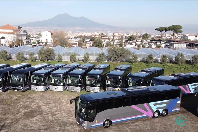 Discovering Gragnano PGI Pasta and the Valle Dei Mulini - Booking Information and Policies