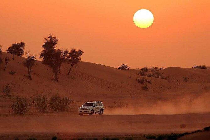 Dubai Desert Safari With BBQ Dinner , Sand Boarding, Dune Bashing - Customer Feedback and Management Response