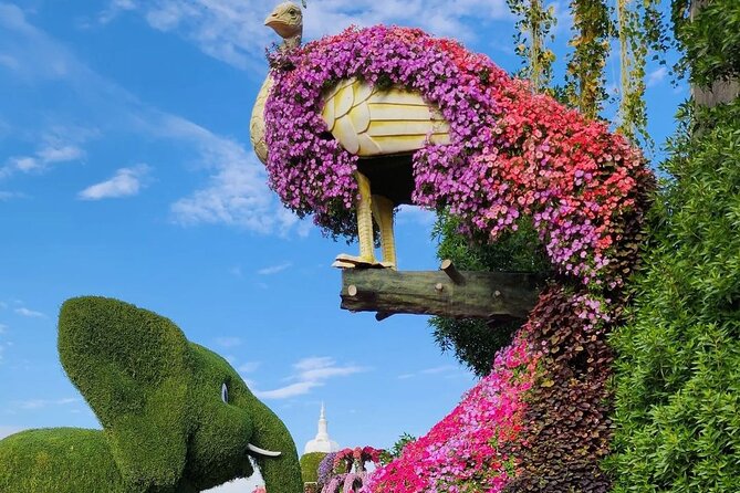 Dubai Miracle Garden Skip the Line E-Ticket - Planning Your Visit