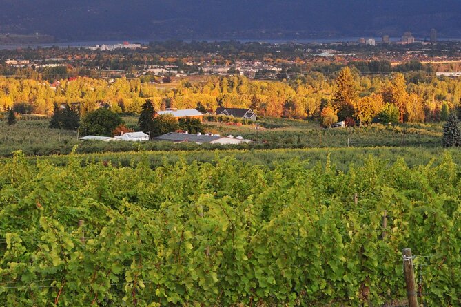 East Kelowna Wineries Tour - Frequently Asked Questions