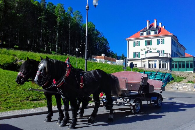 EXCLUSIVE 3 Royal Castle SKIP-THE LINE Tour of Neuschwanstein + Linderhof + Hohenschwangau From Munich - Hohenschwangau Castle