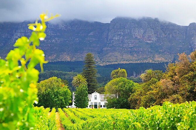 Experience 16 Wine Tasting & 6 Cheese Pairing Across 3 Vineyards - Frequently Asked Questions