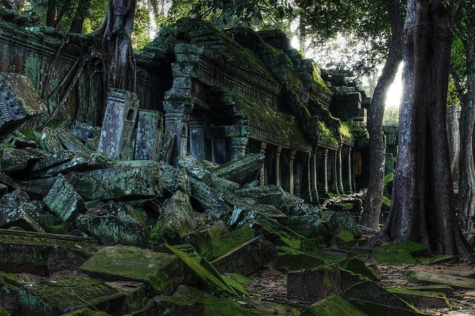 Explore Koh Ker and Beng Mealea Temple Private Experience - Customer Reviews and Feedback