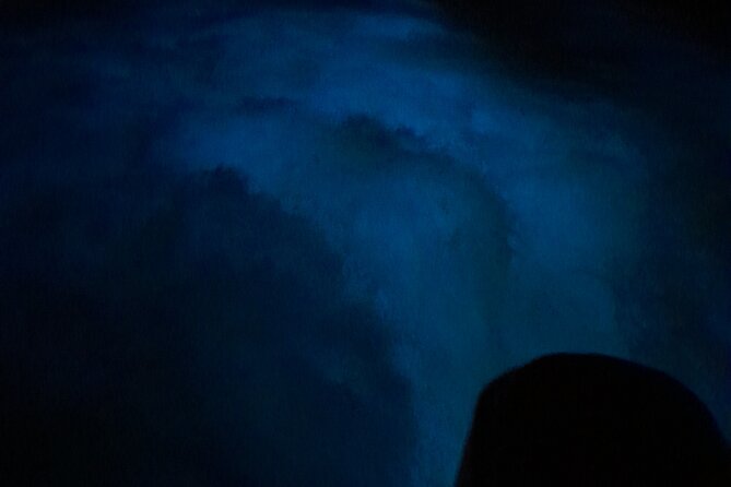 Falmouth Bioluminous Lagoon Night Tour With Boat Ride and Swim - Safety and Precautions