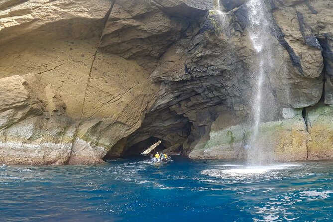 Flores Boat Tours - Frequently Asked Questions