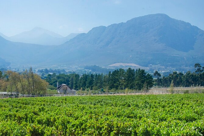 Franschhoek Winelands Luxury EBike Tour - Guided Tour Highlights