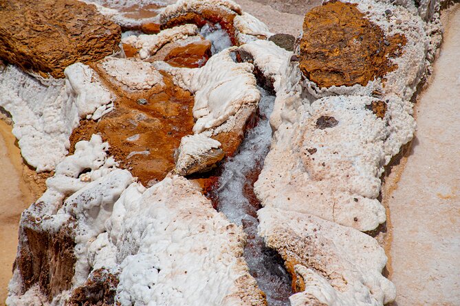 From Cusco: Sacred Valley and Moray Salt Mines - Authentic Guest Reviews