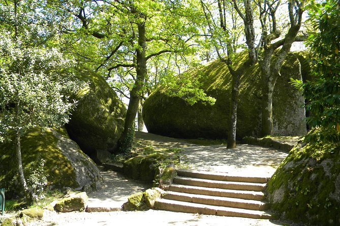 From Porto: Wonders of Braga & Guimaraes Private Day Trip - Positive Guest Testimonials