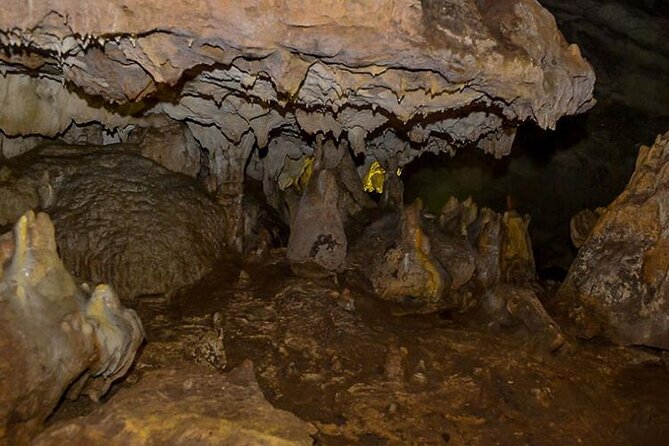 From Tirana: Hiking to Pellumbas Cave and Petrela Castle - Customer Testimonials