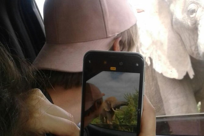 Full Day Addo Elephant National Park Safari Wit BBQ:Thentic Tours - Frequently Asked Questions
