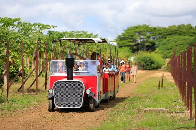Full-Day North Tour of Mauritius, ALL INCLUSIVE Day Trip, Private SUV Car, Guide - Experiencing Authentic Local Cuisine