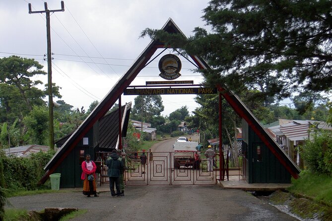 Full Day Private Hiking Tour to Kilimanjaro Mountain - Refreshing Kilimanjaro Beer