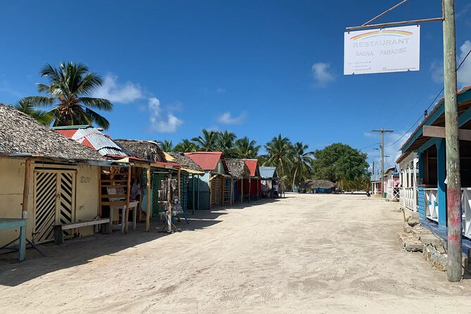 Full Day Tour to Isla Saona and Altos De Chavon - Additional Information
