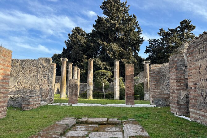 Full Day Tour to Pompeii, Vesuvius and Wine Tasting - Customer Reviews and Ratings
