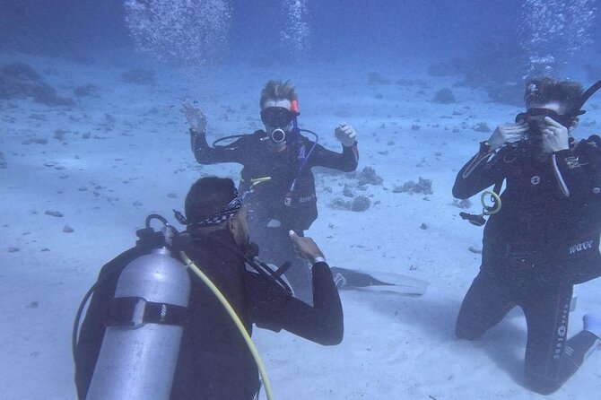 Guided Diving Experience for Padi OW in Red Sea and Sinai - Recommended Highlights