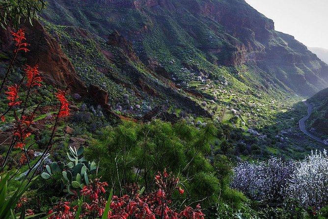 Guided Tour: Discover Gran Canaria - Taking in Lush Green Landscapes