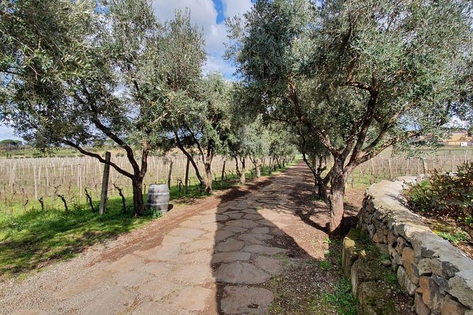 Half-Day Italian Cooking Class in Rome With Wine Tasting - Transportation and Accessibility