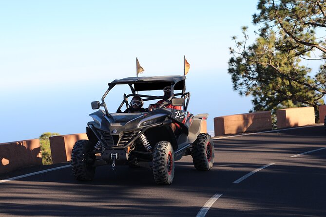 Half Day Morning Buggy Tour in Teide National Park - Booking Process