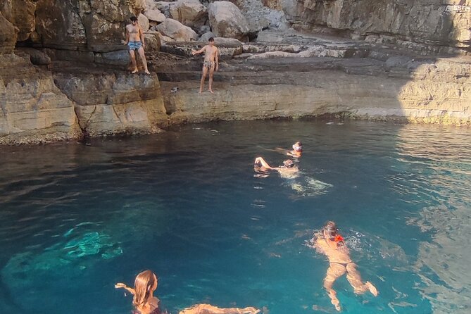 Half-Day Private Speedboat Excursion to Sazan Island & Karaburun - Guest Reviews and Recommendations