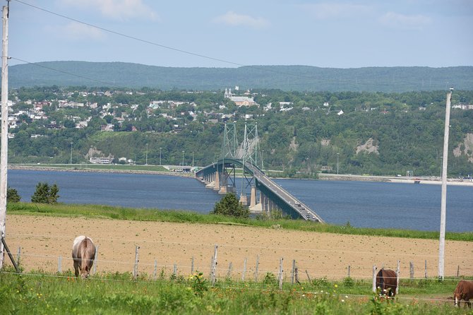 Half-Day Trip to Montmorency Falls and Ste-Anne-De-Beaupré From Quebec City - Tips for Your Journey