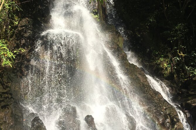 Hidden Hawaii Tours - Tips for a Great Experience