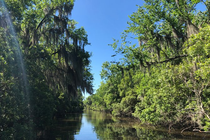 Highlights of New Orleans City and Swamp Tour Combination - Things To Known