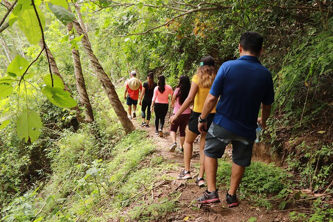 Hiking to Vallarta Botanical Garden. - Additional Considerations