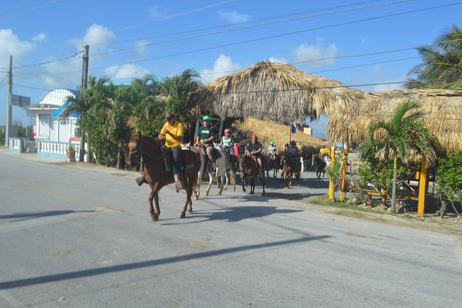 Horse Riding (1 Hour) - Preparing for the Tour
