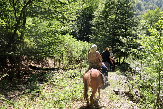 Horseback Riding in Azerbaijan - Reviews and Ratings