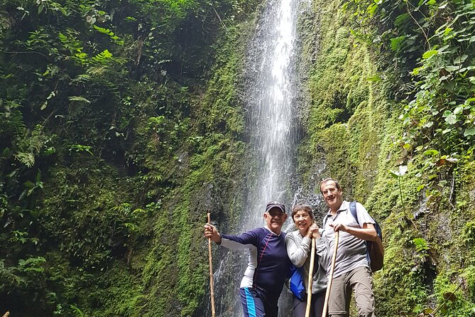 Howler Monkey Tour - Filandia Views And Gastronomy - Whats Included in the Tour