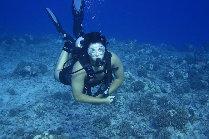 Introductory Beach Scuba Dive - Sum Up