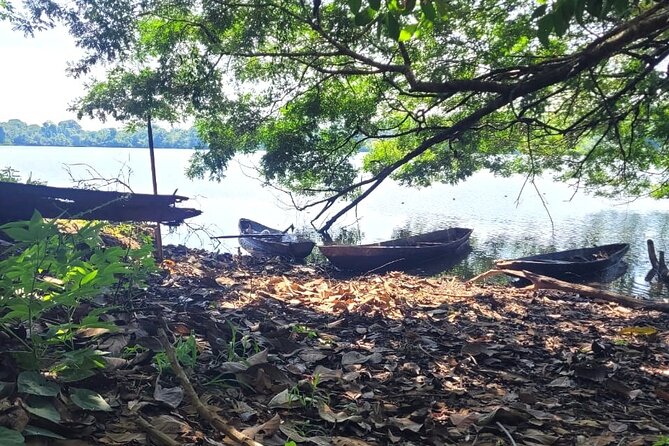 Iquitos: Amazon Adventure: Nature and Wildlife | 3 Days - Questions About Your Stay