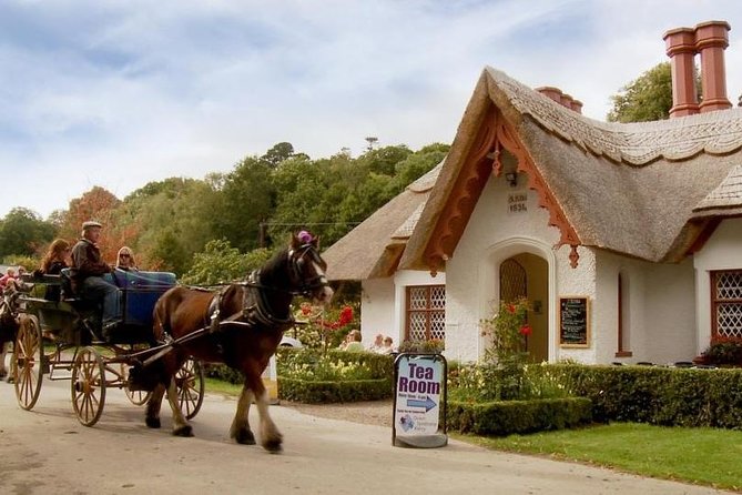 Killarney Jaunting Car Tour With Craft Brewery Beer & Pizza - Private and Personalized Tour Experience