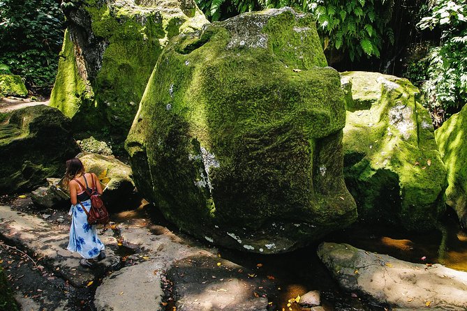 Kintamani Private Tour:Tegalalang Rice Terraces, Goa Gajah Temple - Booking and Cancellation Policies