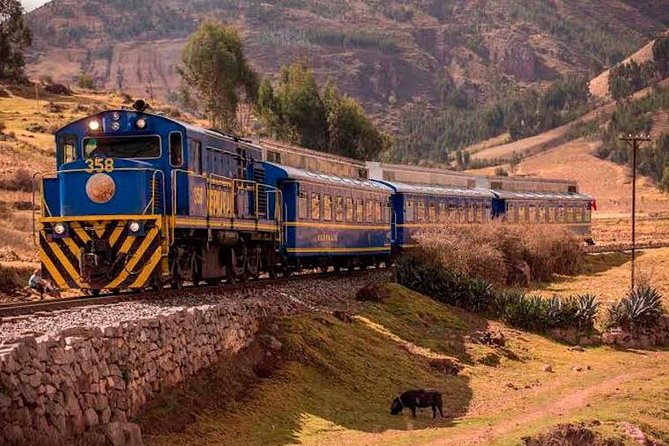 Machu Picchu Full Day Tour | 1 Day Train Trip - Highlights of the Tour
