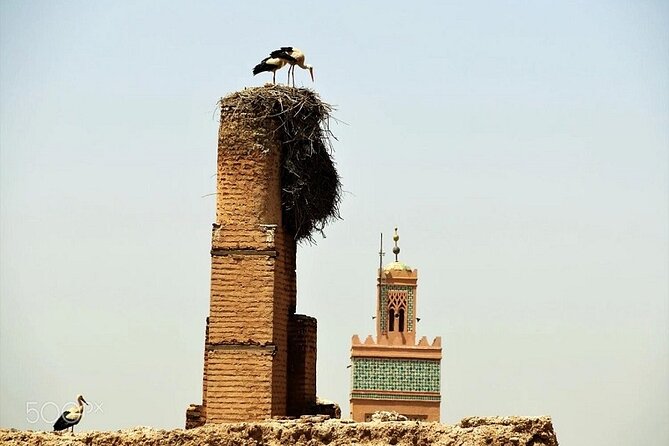 Marrakech City Tour With Driver - Half-Day - Tips for Travelers