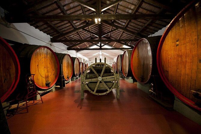 Modena Area: Lambrusco Wine Tasting Experience - Frequently Asked Questions
