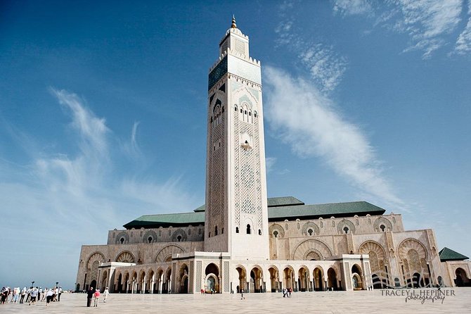 Morocco Grand Journey 14 Days Tour - Traveler Experiences